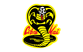 Cobra Kai Cake Design