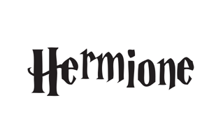 Hermione Granger Cake